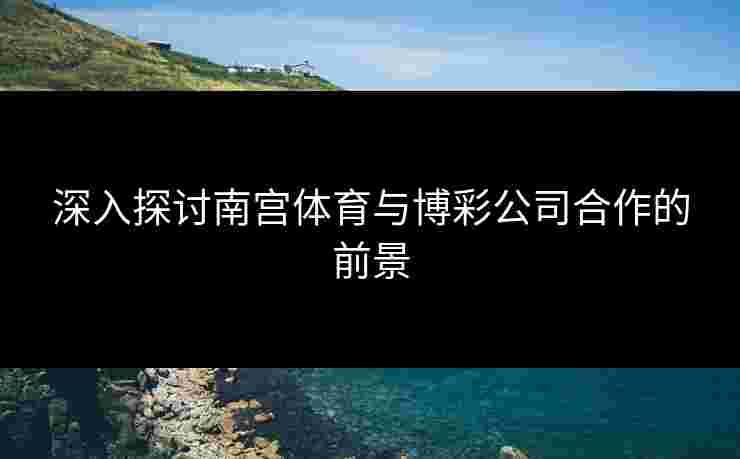 深入探讨南宫体育与博彩公司合作的前景