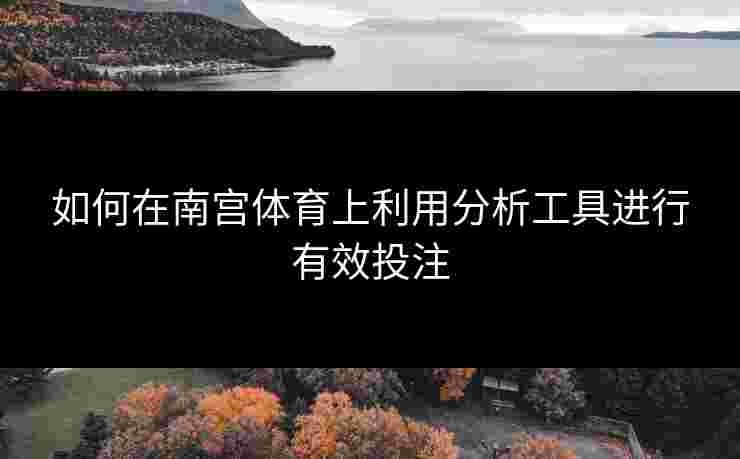 如何在南宫体育上利用分析工具进行有效投注