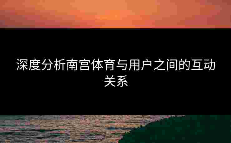 深度分析南宫体育与用户之间的互动关系